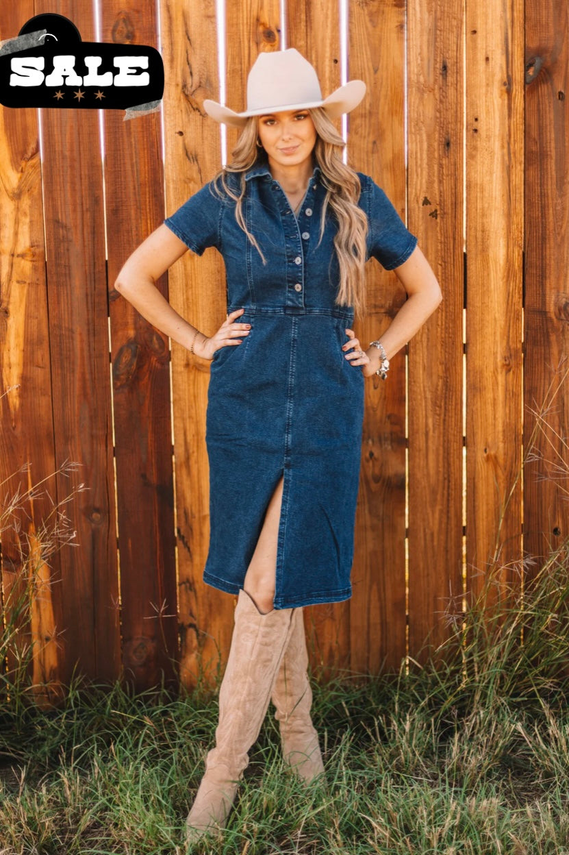 Catarina denim dress